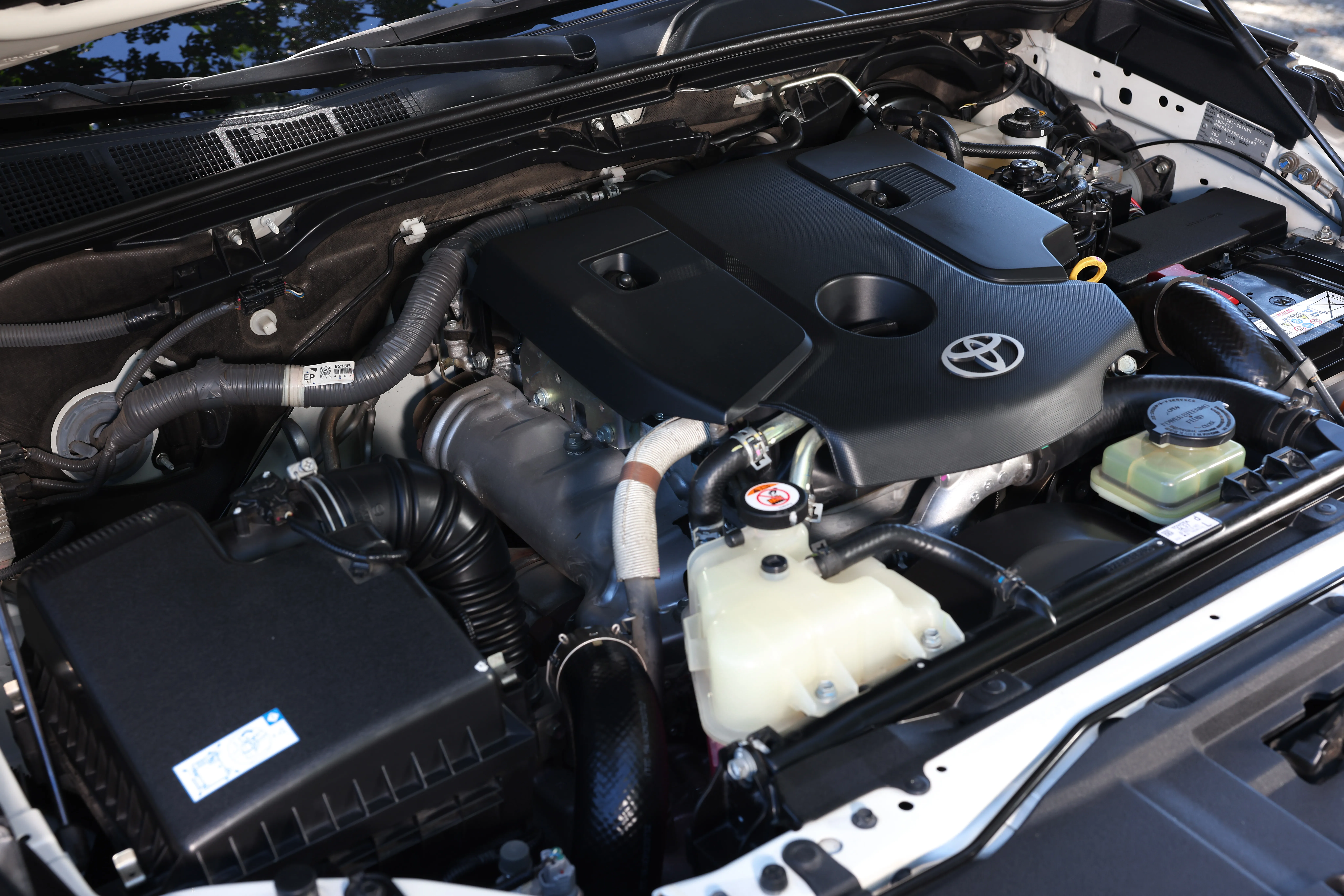 Gallery Thumbnail 13