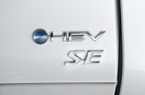 Gallery Thumbnail 13